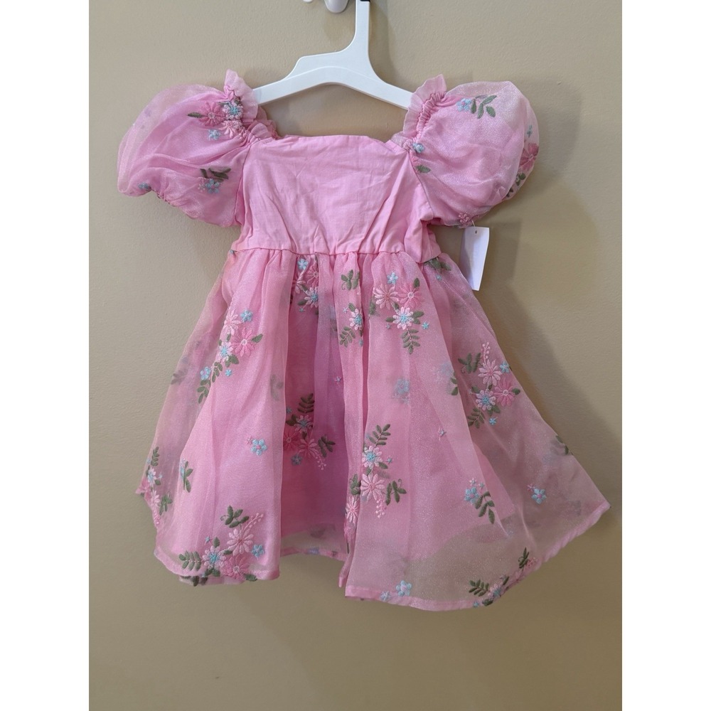 Toddler Girls' Mad Engine Floral Embroidered Dress Size 2T Pink NWT